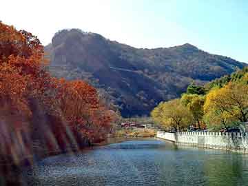 管家婆黑白马报图库，汽车耗油流量计